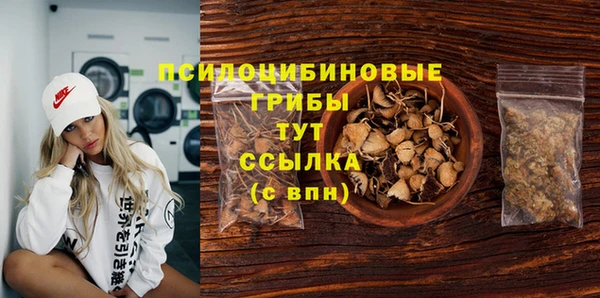 амф Надым