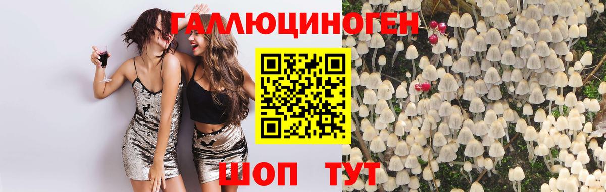 Галлюциногенные грибы Psilocybine cubensis  Вход с VPN  Отрадное 